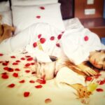 Plan a romantic getaway or just a fateful night out!